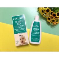 Dầu gội trị cứt trâu Dentinox