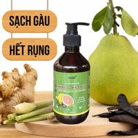 Dầu gội trị nấm da đầu, Dầu Gội Bồ Kết Hà Thủ Ô cô đặc, sạch gàu, chống rụng, mọc tóc, thảo dược The Ella 300ml