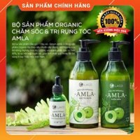 Dầu Gội Trị Rụng Tóc 💚 Dầu Gội Hữu Cơ AMLA💚 Hàng Chính Hãng Công Ty LACO