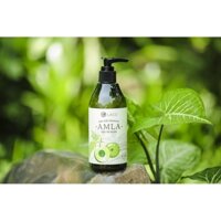 Dầu gội trị rụng tóc, kích mọc tóc Amla