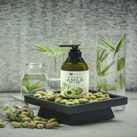 DẦU GỘI TRỊ RỤNG TÓC ORGANIC AMLA