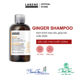 Dầu gội trị rụng tóc và hỗ trợ mọc tóc Scalp Care 250ml