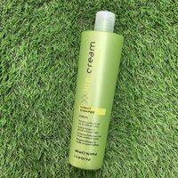 Dầu gội trị tóc gầu, tóc dầu Inebrya Ice Cream Cleany Shampoo 300ml