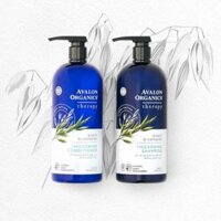 Dầu gội và dầu xả giúp dày tóc Avalon Organics Biotin B-Complex Thickening Shampoo 946ml/907g (Mỹ)