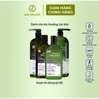 Dầu gội và dầu xả hữu cơ Avalon Organic hương oải hương dành cho tóc thường, tóc khô