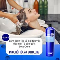 Dầu gội và Mặt nạ phục hồi tóc KAYPRO Botu-Cure (Reconstructing Shampoo and Reconstructing Mask) 1000ml