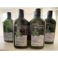 Dầu Gội và Xả Bạc Hà của Avalon Organic