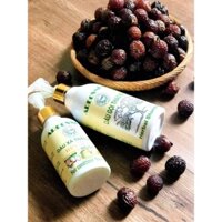 Dầu gội và xả thảo mộc cô đặc AREOVNUA