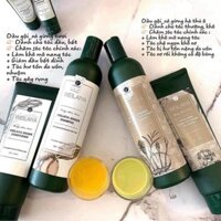 Dầu gội Weilaiya gừng và hà thủ ô