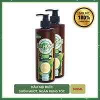 Dầu Gội Xả 2 in 1 Spa Home Tinh Dầu Bưởi 500ml