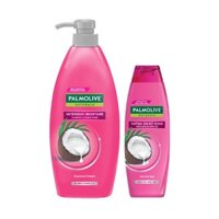 Dầu gội xả 2in1 Palmolive thiên nhiên 600ml + Dầu gội có dầu xả Palmolive Naturals 180ml