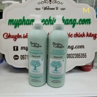 DẦU GỘI XẢ BIOTIN COLLAGEN NGĂN GẦU MƯỢT TÓC 500ml - 1000ML MS1