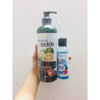 Dầu gội xả Bưởi Cachy 500ml, tặng kèm sữa tắm nước hoa Chanel Coco 100ml