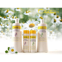 DẦU GỘI XẢ CHIHTSAI SỐ 5 - 7 HOẶC SÔ 3 - 7 1000ml