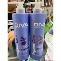 Dầu gội xả DiVa phục hồi tóc hư tổn cấp độ3 750ml - hàng chính hãng