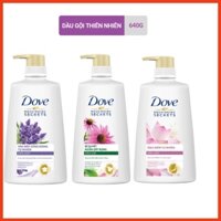 Dầu Gội Xả Dove Oải Hương/ Hoa Sen/ Anh Đào 650g/620g