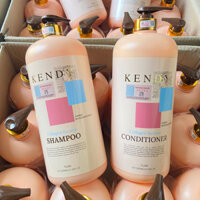 Dầu gội, xả dưỡng sinh cao cấp Kendy 2000ml , xuất xứ Nhật Bản