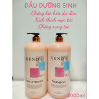 Dầu gội, xả dưỡng sinh cao cấp Kendy 2000ml , xuất xứ Nhật Bản
