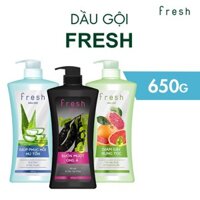 Dầu Gội Xả Fresh Tinh Dầu Bưởi, Nha Đam, Bồ Kết - Ngăn Ngừa Rụng Tóc 650g