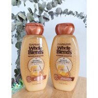 Dầu gội & xả Garnier - Whole Blends