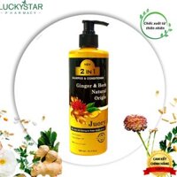 Dầu Gội Xả Gừng & Thảo Dược 2in1 Juory Lucky Star (500ml)