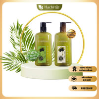 Dầu Gội, Xả Hachi chiết xuất từ Olive dành cho tóc gàu giảm ngứa Anti-Dandruff  350,500,800ml