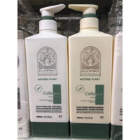 Dầu gội xả hấp VINGE collagen cao cấp, cặp dầu gội giảm rụng tóc,kích thích mọc tóc, kiềm dầu.