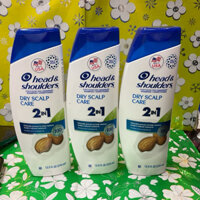 Dầu Gội & Xã Head and Shoulders 2 in 1