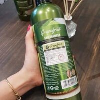 DẦU GỘI XẢ HƯƠNG BƯỞI