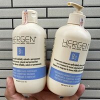 Dầu gội xả khô hergen B1-B3 dành cho tóc nhuộm , uốn và duỗi