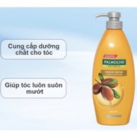 Dầu gội xả Palmolive Dầu Argan 750ml phục hồi hư tổn