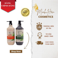 Dầu gội xả phục hồi carbondex aloe vera  chiết suất từ nha đam