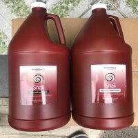 DẦU GỘI - XẢ PHỤC HỒI TÓC SNAIL SOPHIA PROFESSIONAL 3785mlx2