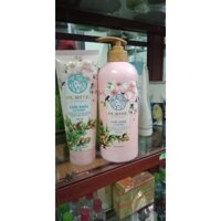 Dầu gội - xả purite chắc khỏe lưu hương 600ml