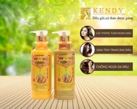 DẦU GỘI XẢ THẢO DƯỢC GỪNG KENDY