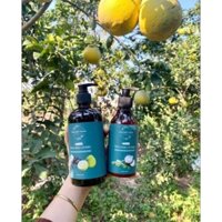 Dầu gội xả thảo mộc Thiên Mộc Trang.