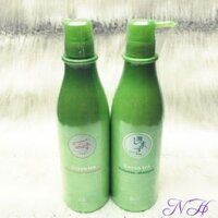 DẦU GỘI - XẢ  TRÀ  XANH GREEN TEA