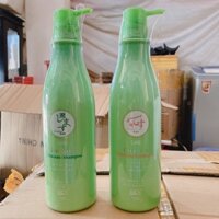 Dầu gội +xả trà xanh Nhật  Bản GREEN - TEA  750ml x 2