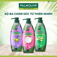 Dầu gội xả từ thiên nhiên Palmolive 600ml