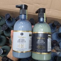 Dầu gội xả Valention Bio Hair & Collagen 2X hương nước hoa phục hồi dưỡng tóc suôn mượt  500/800ML