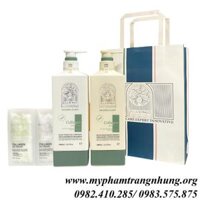 DẦU GỘI XẢ VINGE COLLAGEN PLUS PHỤC HỒI KÍCH THÍCH MỌC TÓC