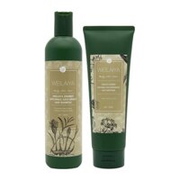 Dầu gội xả Weilaiya gừng hà thủ ô