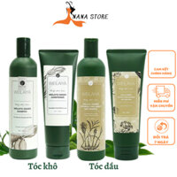 Dầu Gội Xả Weilaiya Gừng, Hà Thủ Ô Giúp Mọc Tóc Suôn Mượt