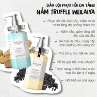 Dầu gội xả Weilaiya nấm Truffle, Dầu gội phục hồi Weilaiya tóc suôn mượt sạch gàu sạch dầu hương thơm sang trọng