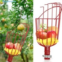 Đầu hái trái cây NHẬT MỚI, Giỏ sâu Máy thu trái cây có thể tháo rời, Dụng cụ hái trái cây có thể điều chỉnh độ cao cao Thiết bị hái vườn