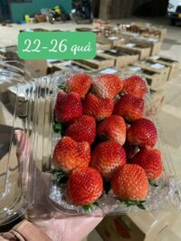 Dâu Hana Mộc Châu size To (3) - 500gr