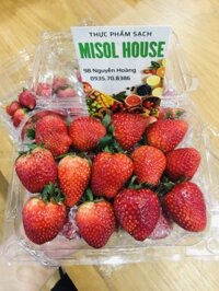 Dâu Hana Mộc Châu