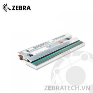 Đầu in máy in mã vạch Zebra 105SL plus 203dpi