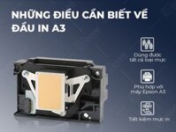 Đầu in máy in màu Epson A3