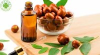 Dầu Jojoba là gì? Tác dụng của Jojoba Oil trong làm đẹp